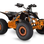 ELECTRIC QUAD BIKE 2